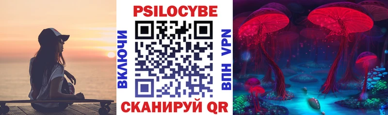 Купить  Пятигорск  Псилоцибиновые грибы прущие грибы 